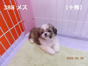 アイ