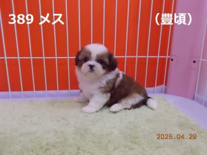 アイ