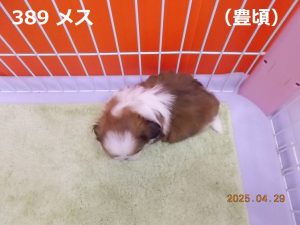 上