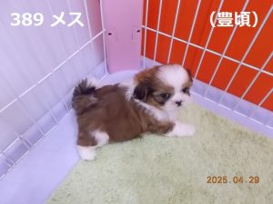 右
