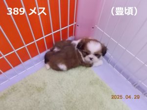 右上