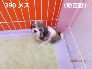 左