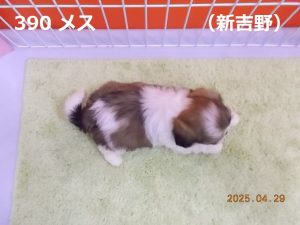 上