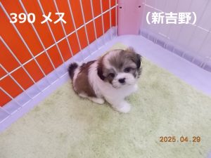 アイ