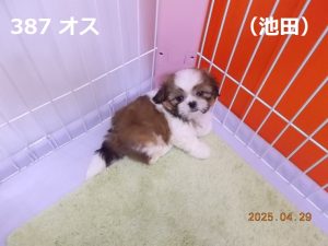 右