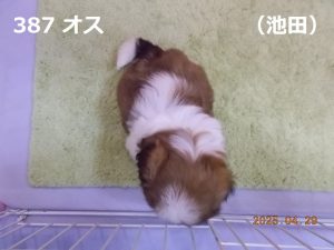 上