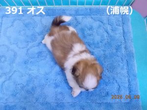 上