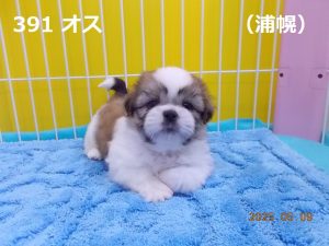 前