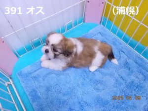 左