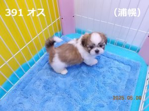 アイ