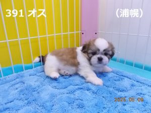 右
