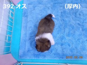上