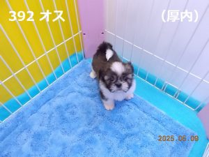 前