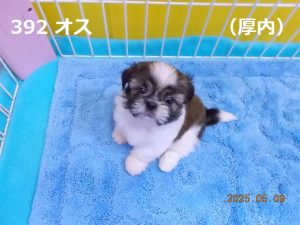 アイ