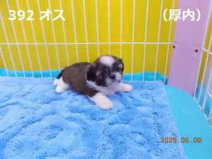 伏せ