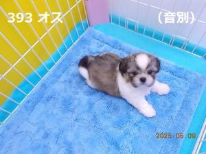 アイ