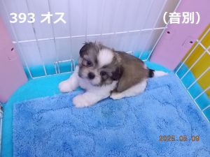 左