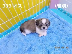 横