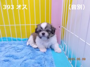 前