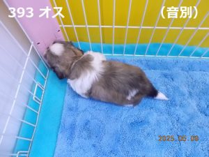 後ろ