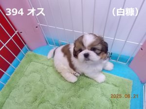 アイ