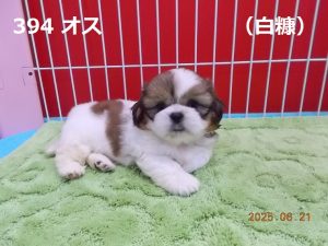 右
