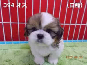 顔