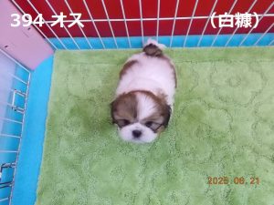 上