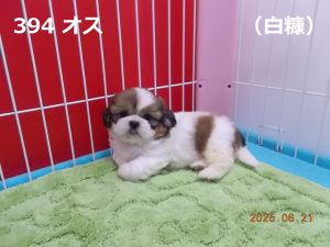 横