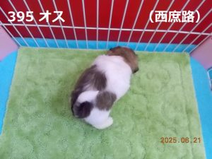 後ろ