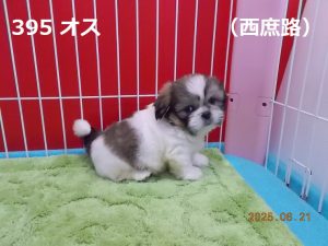 右