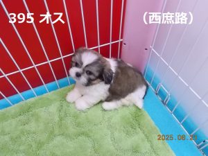 左