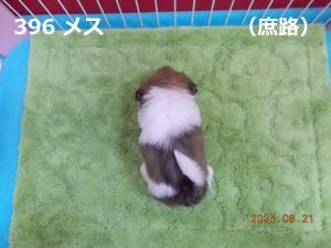 後ろ