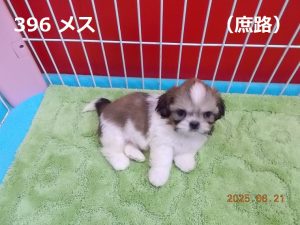横