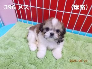 顔