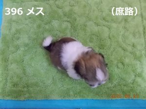 上