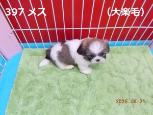 右