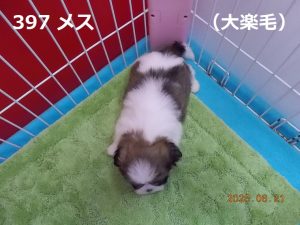 上