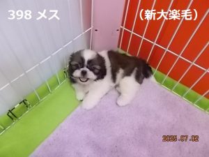 左