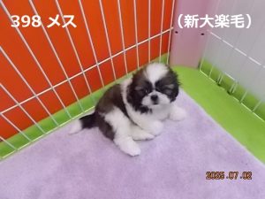 アイ