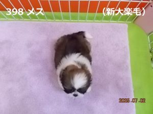 上前