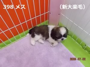 角