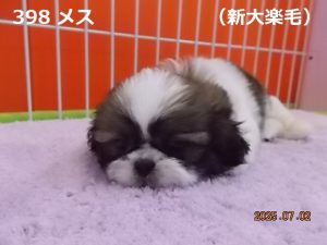 顔大