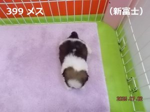 上前