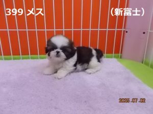 左横
