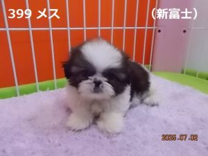 顔中