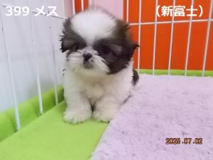 前大
