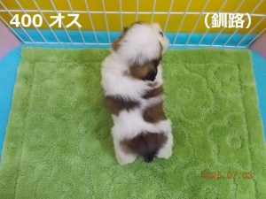 後ろ