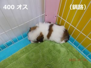 左