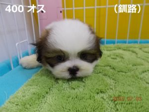 顔大